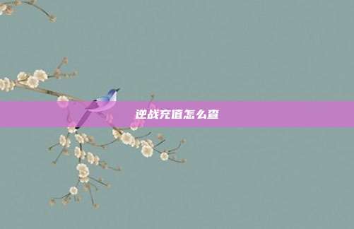 逆战充值怎么查