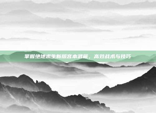 掌握绝地求生新版宫本武藏，高效战术与技巧