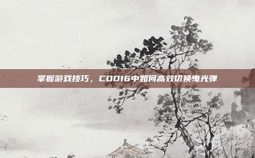 掌握游戏技巧，COD16中如何高效切换曳光弹