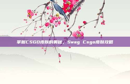 掌握CSGO皮肤的奥秘，Swag Csgo皮肤攻略