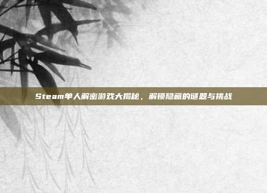 Steam单人解密游戏大揭秘，解锁隐藏的谜题与挑战
