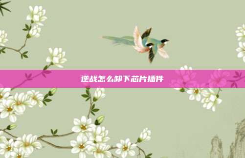 逆战怎么卸下芯片插件