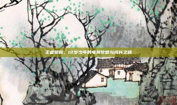王者荣耀，12岁少年的电竞梦想与成长之路