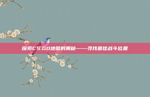 探索CS:GO地图的奥秘——寻找最佳战斗位置