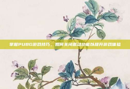 掌握PUBG游戏技巧，如何关闭震动功能以提升游戏体验