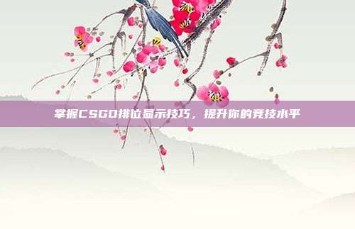 掌握CSGO排位显示技巧，提升你的竞技水平
