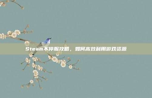Steam不停服攻略，如何高效利用游戏资源