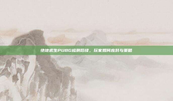 绝地求生PUBG检测后续，玩家如何应对与策略