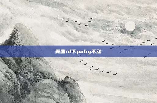 美国id下pubg不动