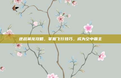 逆战翼龙攻略,掌握飞行技巧,成为空中霸主