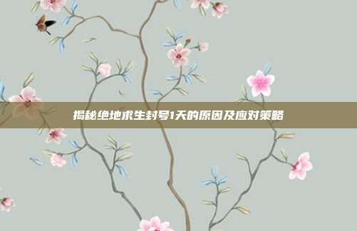 揭秘绝地求生封号1天的原因及应对策略