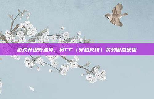 游戏升级新选择,将CF(穿越火线)装到固态硬盘