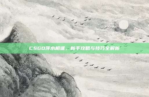 CSGO萍水相逢,新手攻略与技巧全解析