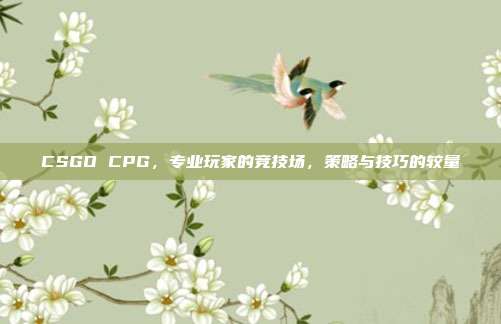 CSGO CPG，专业玩家的竞技场，策略与技巧的较量