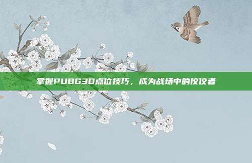 掌握PUBG3D点位技巧，成为战场中的佼佼者