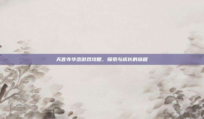 天宫寺华恋游戏攻略，探索与成长的旅程