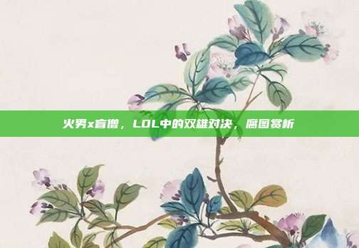 火男x盲僧,LOL中的双雄对决,腐图赏析