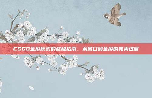 CSGO全屏模式的终极指南,从窗口到全屏的完美过渡