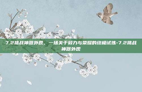7.2挑战神器外观,一场关于毅力与荣耀的终极试炼-7.2挑战神器外观