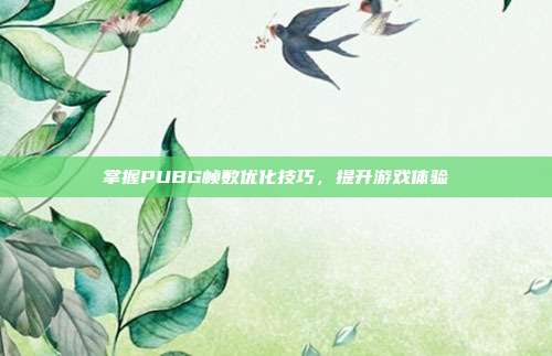 掌握PUBG帧数优化技巧,提升游戏体验