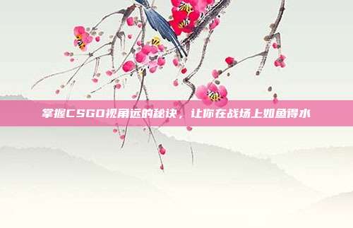 掌握CSGO视角远的秘诀，让你在战场上如鱼得水