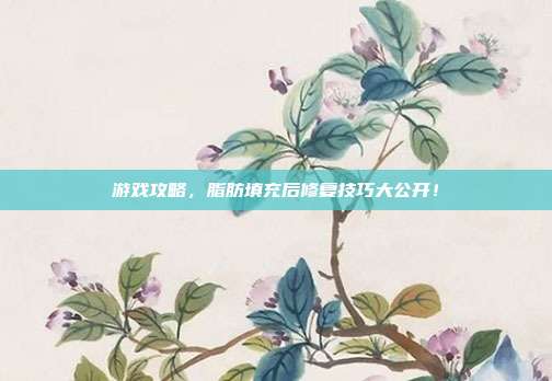 游戏攻略，脂肪填充后修复技巧大公开！