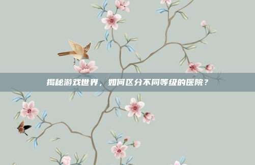 揭秘游戏世界，如何区分不同等级的医院？