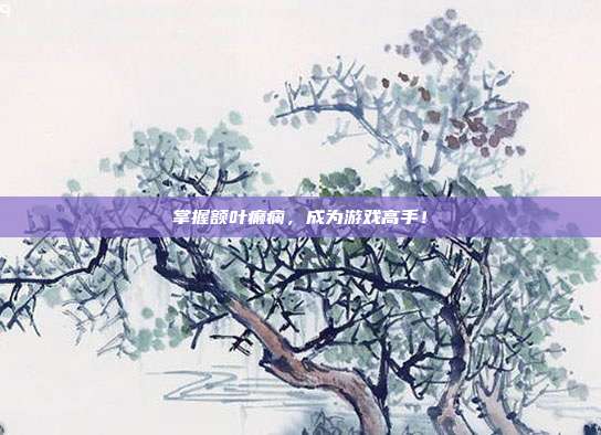 掌握额叶癫痫，成为游戏高手！