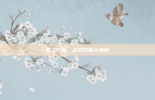 第二产程，游戏攻略大揭秘