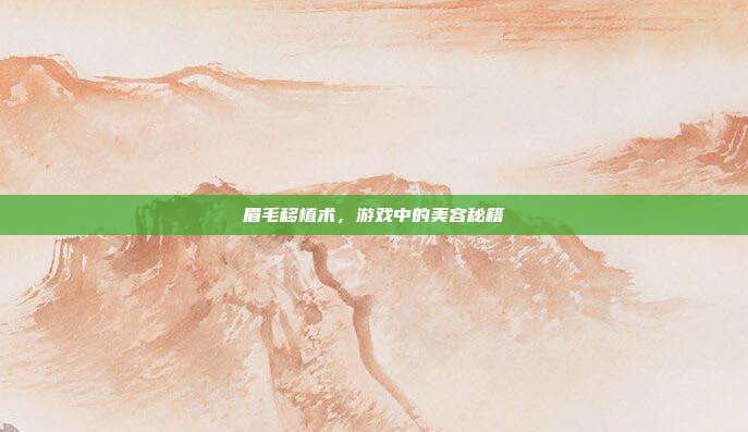 眉毛移植术,游戏中的美容秘籍