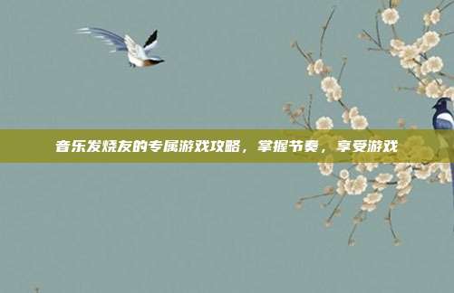 音乐发烧友的专属游戏攻略,掌握节奏,享受游戏