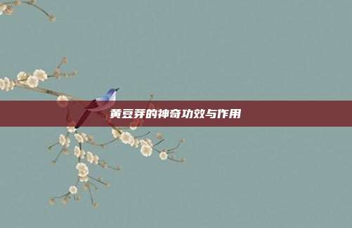 黄豆芽的神奇功效与作用