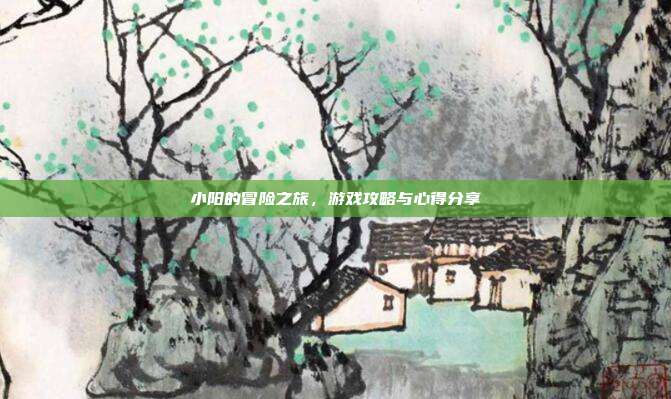 小阳的冒险之旅，游戏攻略与心得分享