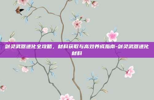 剑灵武器进化全攻略,材料获取与高效养成指南-剑灵武器进化材料