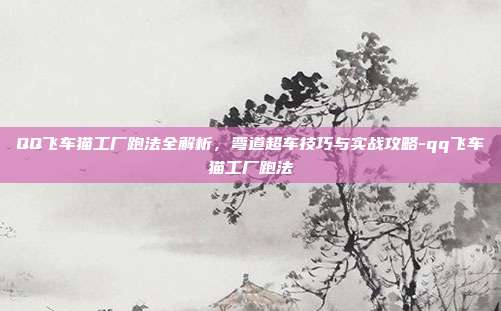 QQ飞车猫工厂跑法全解析,弯道超车技巧与实战攻略-qq飞车猫工厂跑法