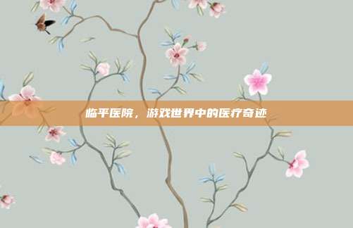 临平医院，游戏世界中的医疗奇迹