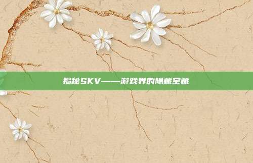 揭秘SKV——游戏界的隐藏宝藏