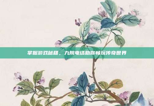 掌握游戏秘籍，九院电话助你畅玩传奇世界