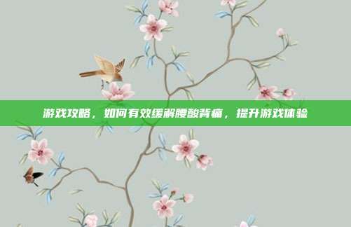 游戏攻略,如何有效缓解腰酸背痛,提升游戏体验