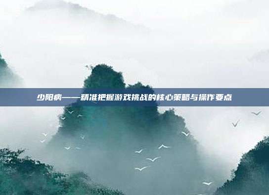 少阳病——精准把握游戏挑战的核心策略与操作要点