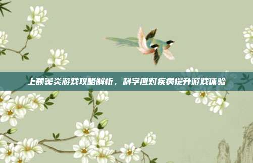 上额窦炎游戏攻略解析，科学应对疾病提升游戏体验