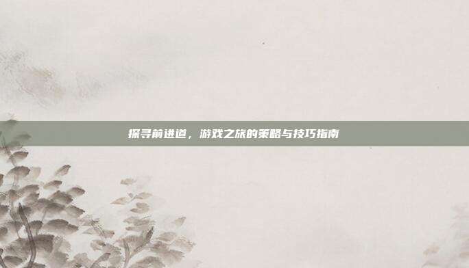 探寻前进道，游戏之旅的策略与技巧指南