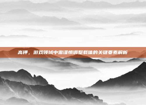 高钾,游戏领域中需谨慎调整载体的关键要素解析