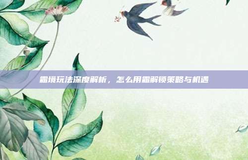 霜境玩法深度解析，怎么用霜解锁策略与机遇