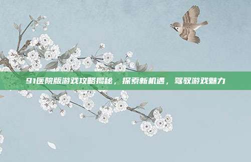 91医院版游戏攻略揭秘，探索新机遇，驾驭游戏魅力
