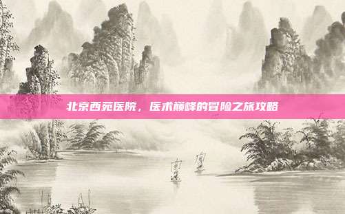 北京西苑医院，医术巅峰的冒险之旅攻略