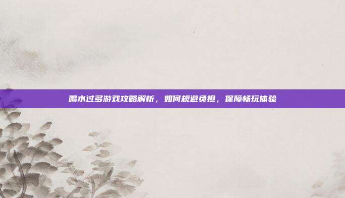 喝水过多游戏攻略解析,如何规避负担,保障畅玩体验