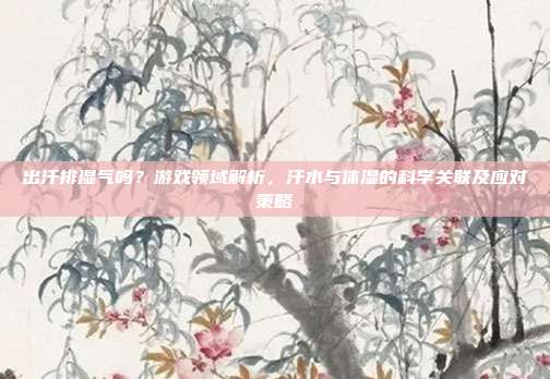 出汗排湿气吗？游戏领域解析，汗水与体湿的科学关联及应对策略