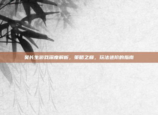 吴长生游戏深度解析，策略之巅，玩法进阶的指南