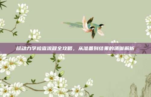 尿动力学检查流程全攻略，从准备到结果的清晰解析